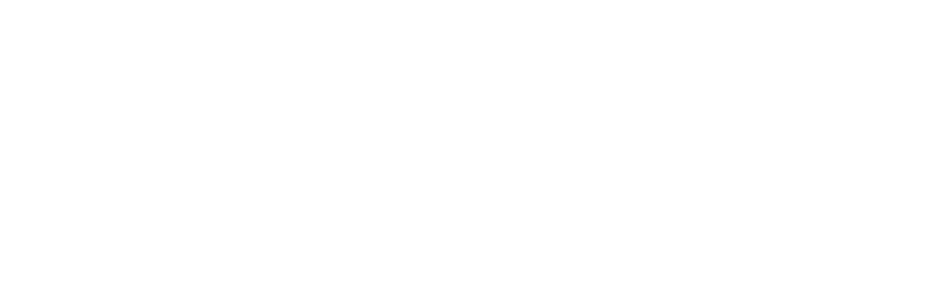 vasco translator